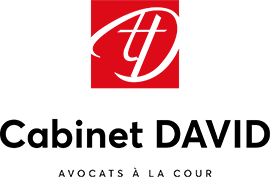 Logo Thierry David